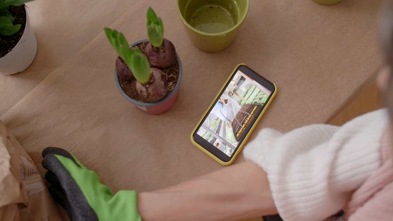 Senior woman learning to plant hyacinths with a gardening tutorial on her phone
