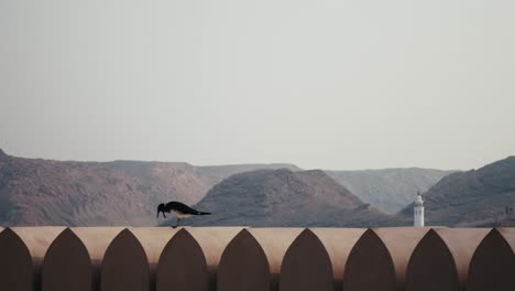 in a charming urban scene, a beautiful bird perches gracefully on a wall