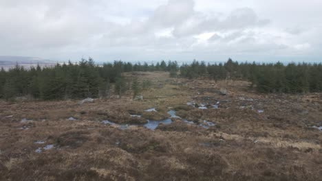 Mountain-top-with-rivers-and-pine-trees