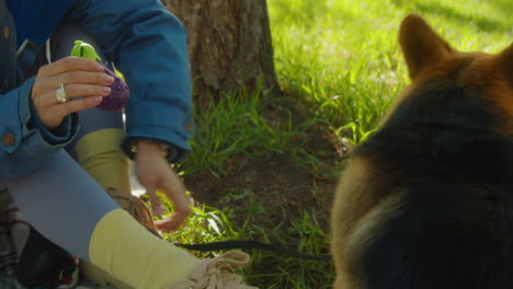 a woman playing with her dog in a park on a sunny day