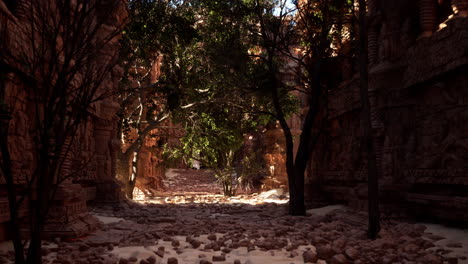 ruinas cubiertas de vegetación de una antigua ciudad