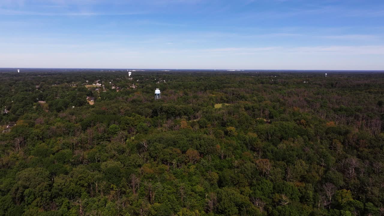 Aerial View of Lush Green Trees near Jackson, Mississippi
