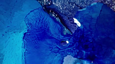 tinta azul y púrpura girando en el agua, creando una escena de arte fluido abstracto