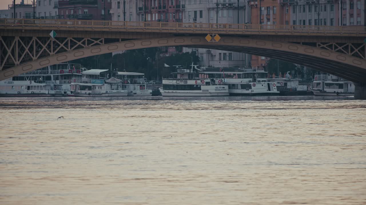 Boats docked along the Danube River under a bridge in Budapest with city buildings in the background