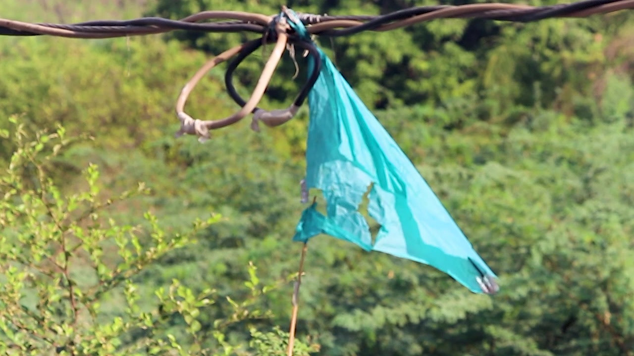 Aquilone strappato impigliato su un cavo aereo dopo un festival, che simboleggia fallimento, rischio e le conseguenze di una celebrazione. Ideale per narrazioni su battute d'arresto, pericoli urbani o contesti festivi.