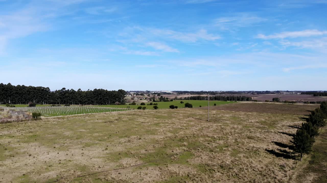 video aereo del campo en un dia soleado, ubicado en canelones uruguay