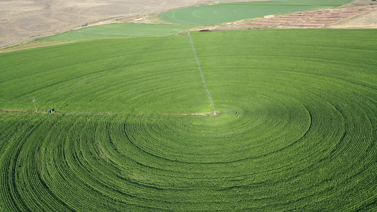 작물 원의 멋진 풍경: 캐나다 브리티시 컬럼비아의  ⁇ 슨 강 계곡의 중앙 축 관개의 드론 영상