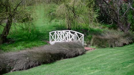 toma amplia de un puente blanco en la naturaleza