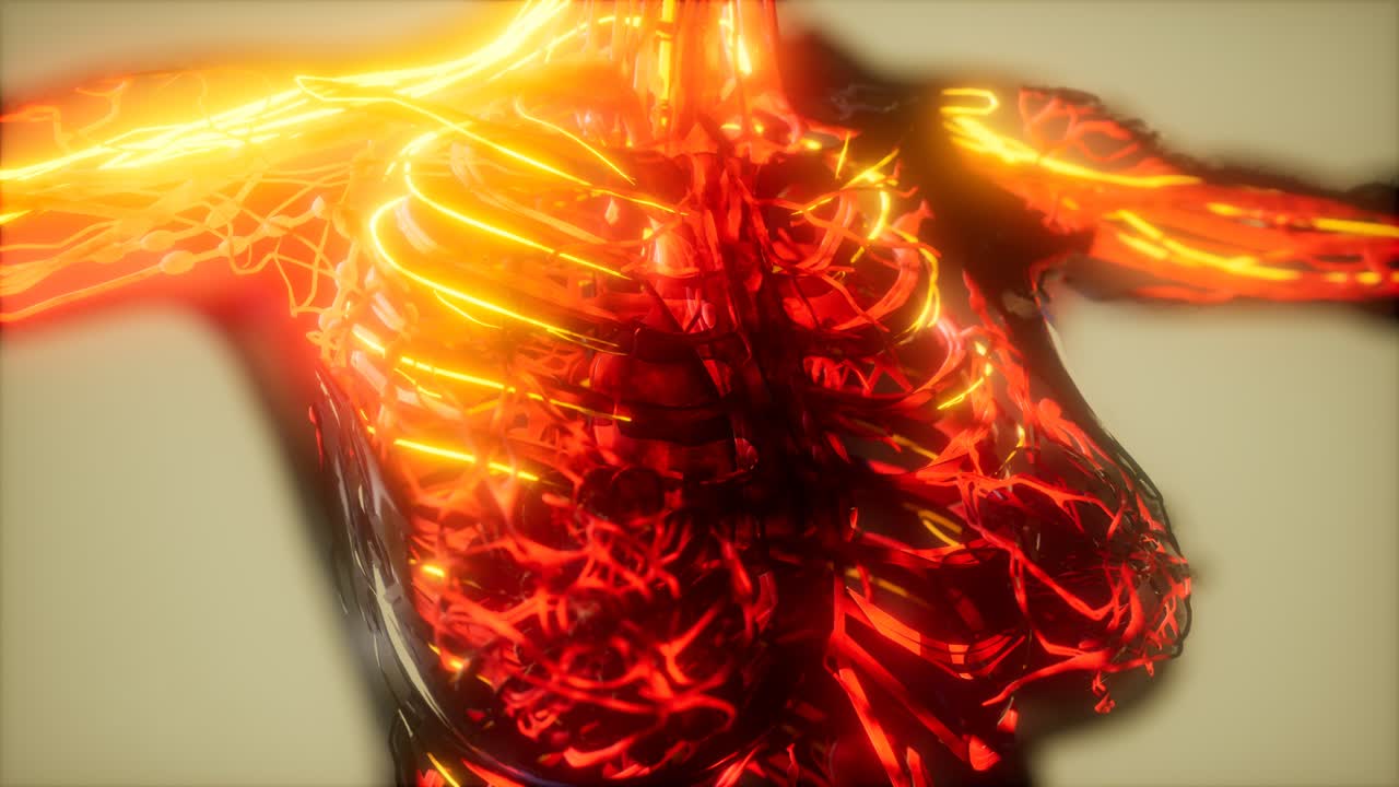 순환계의 혈관에 있는 혈액의 검사