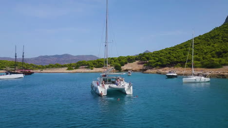 guys goes diving from moored catamaran