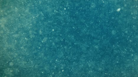 abstract underwater background. dirty water close up.