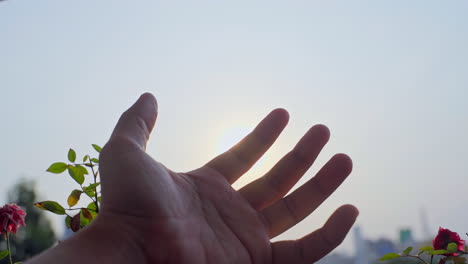 close-up of opening the hand with the sun shining over the palm