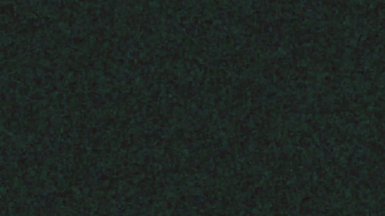 Dark Green Static Noise Texture Background