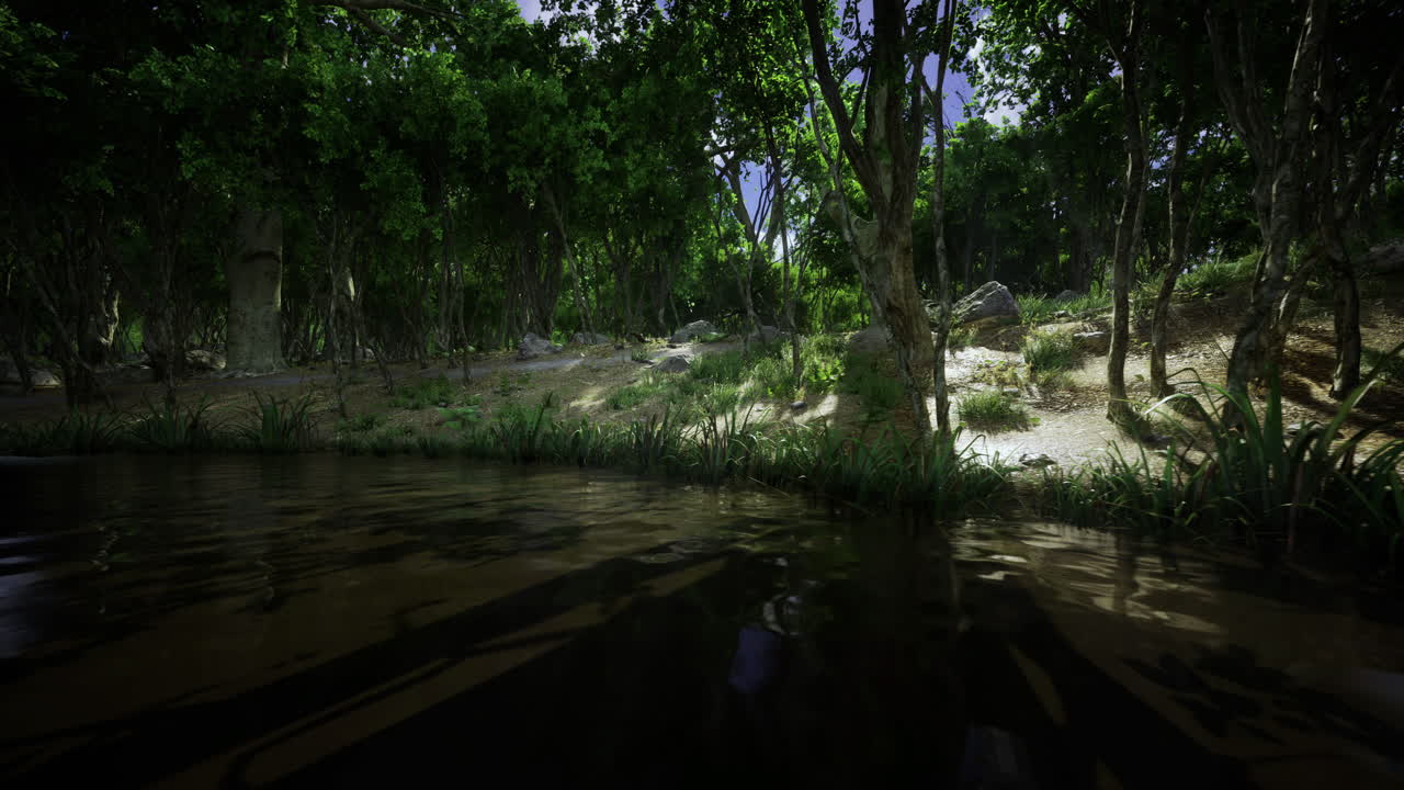 Tranquil Forest Stream Scene