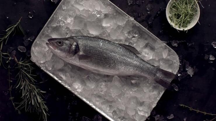 SLOW MOTION Overhead flat lay, raw salmon fish falling on a dish filled with ice. Shot with high speed camera, 420 FPS