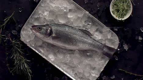 slow motion overhead flat lay, raw salmon fish falling on a dish filled with ice. shot with high speed camera, 420 fps