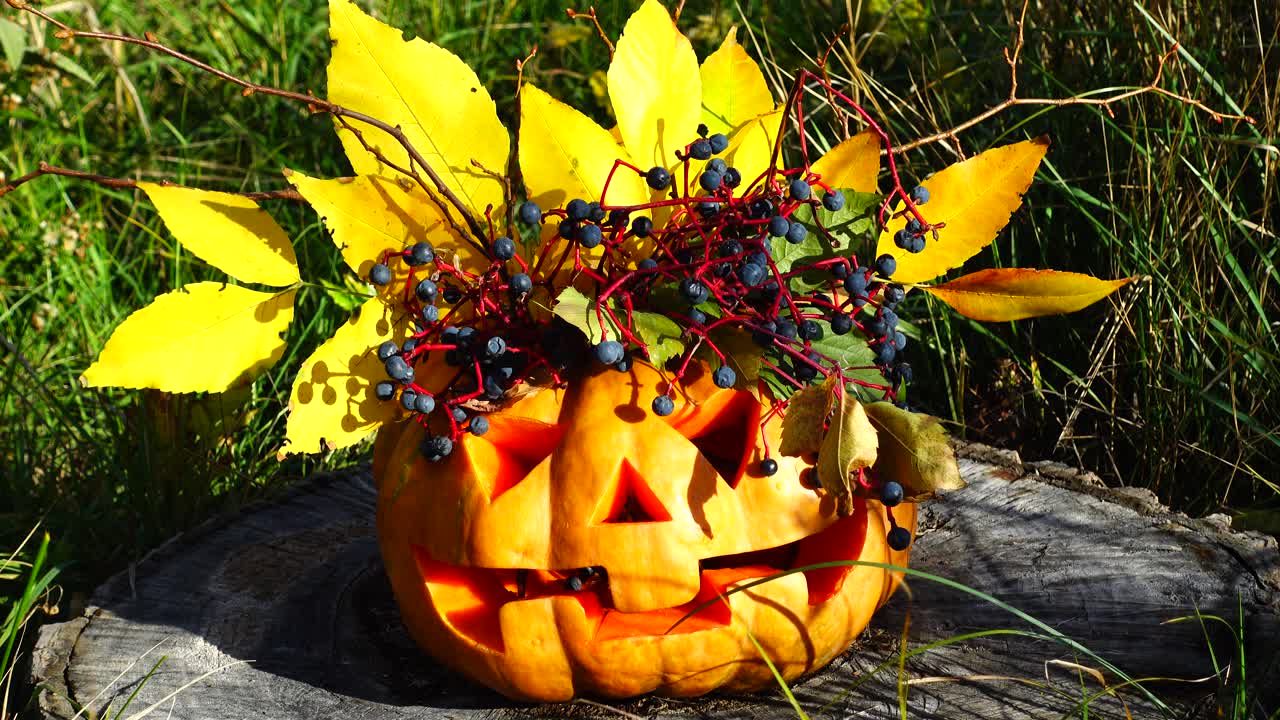 Calabaza de Halloween espeluznante. El monstruo se sienta en un tocón de árbol. Sesión en octubre.