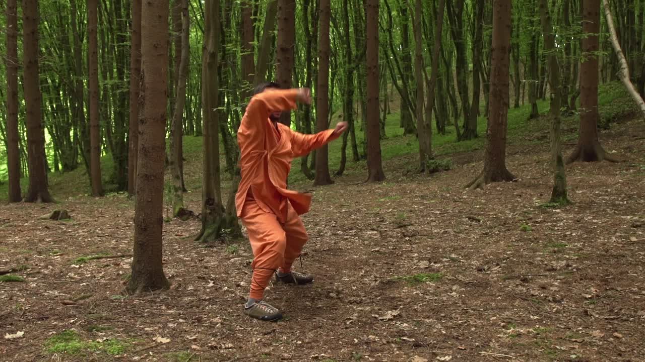 Man In Orange Uniform Practicing Kung Fu Moves In The Woods. - wide shot