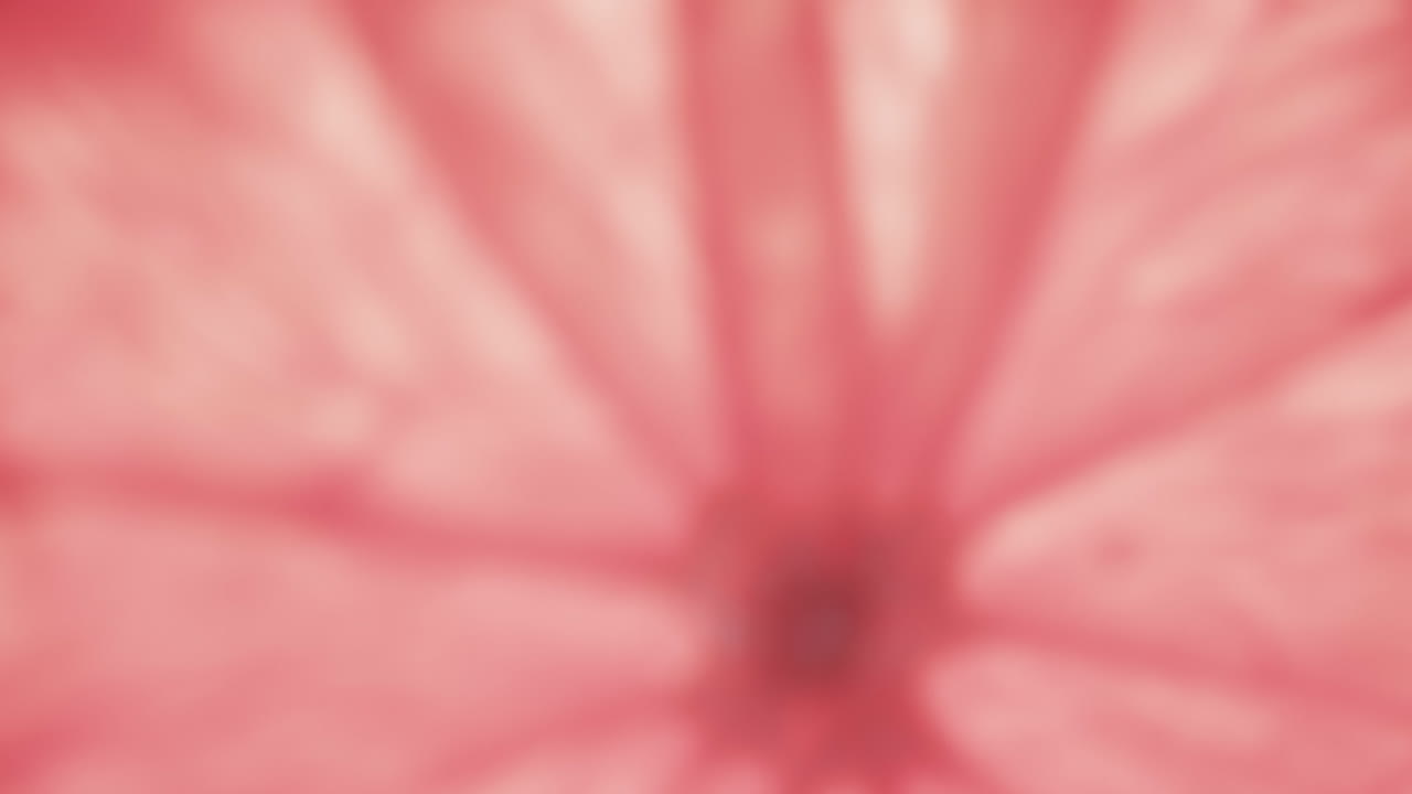 micro vídeo de primer plano de una rebanada de pomelo rojo con espacio para copiar