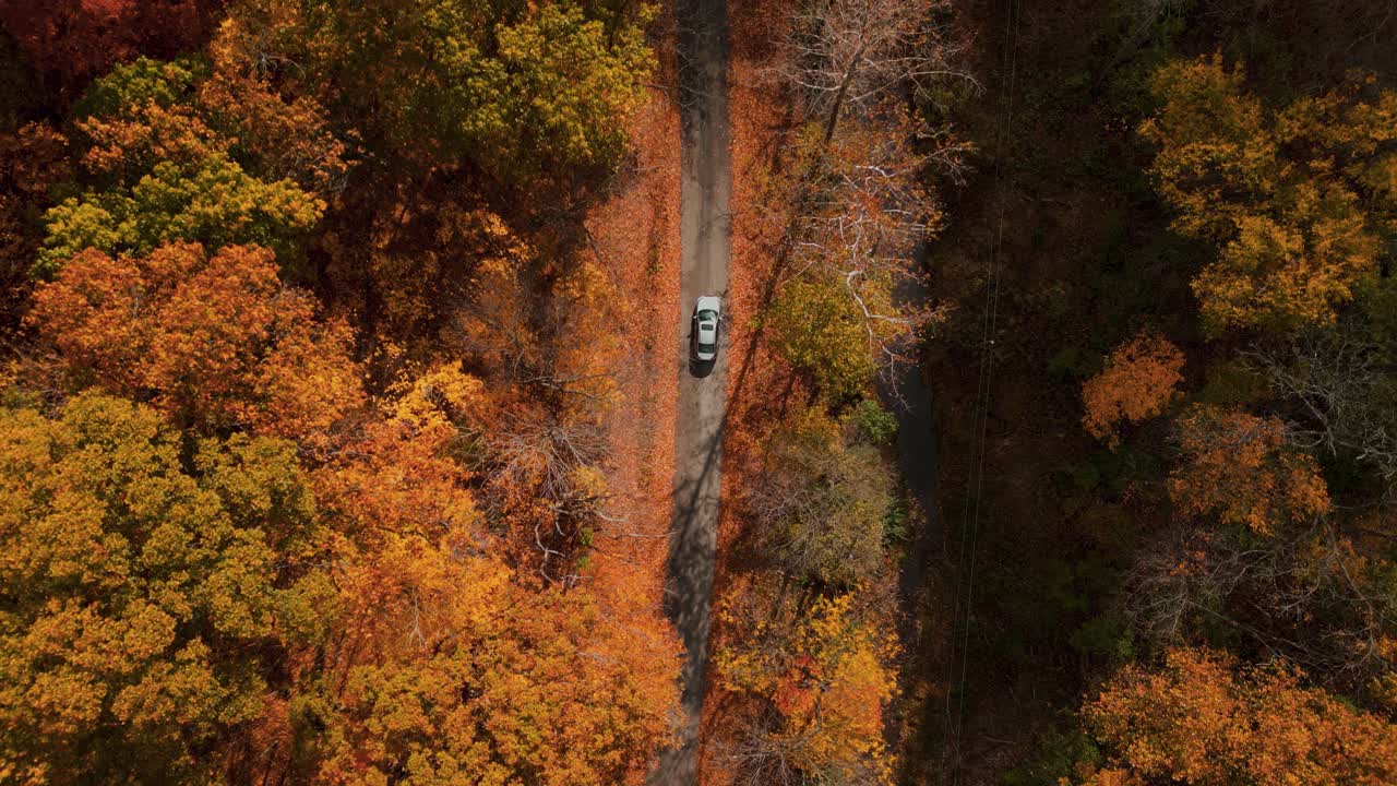 Looking straight down on a silver car driving down a country road through a forest. It is autumn, and the orange and yellow leaves carpet the sides of the road.