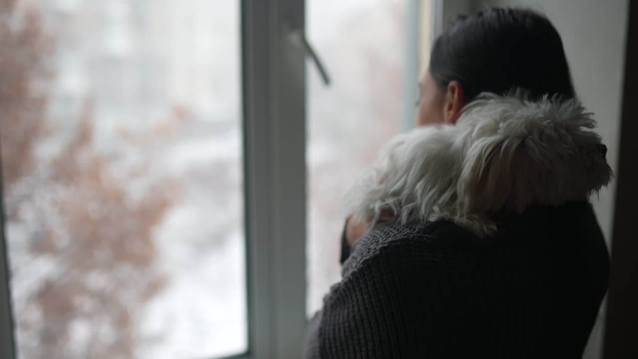 눈이 내리는 날 창문 에 있는 여자와 개