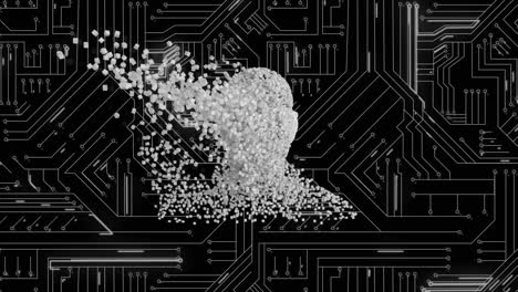 moving human bust and computer circuit board