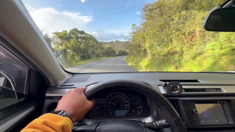 point of view of a male driver, close up of the hands of a man at the steering wheel, smoothly driving on a country road