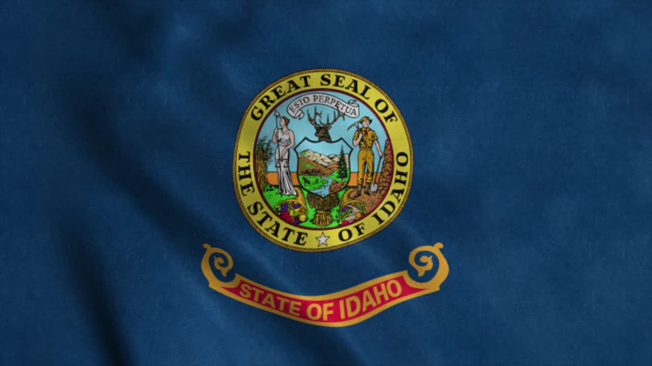 Bandiera dello stato dell'Idaho che sventola al vento. Loop continuo con texture del tessuto altamente dettagliata.