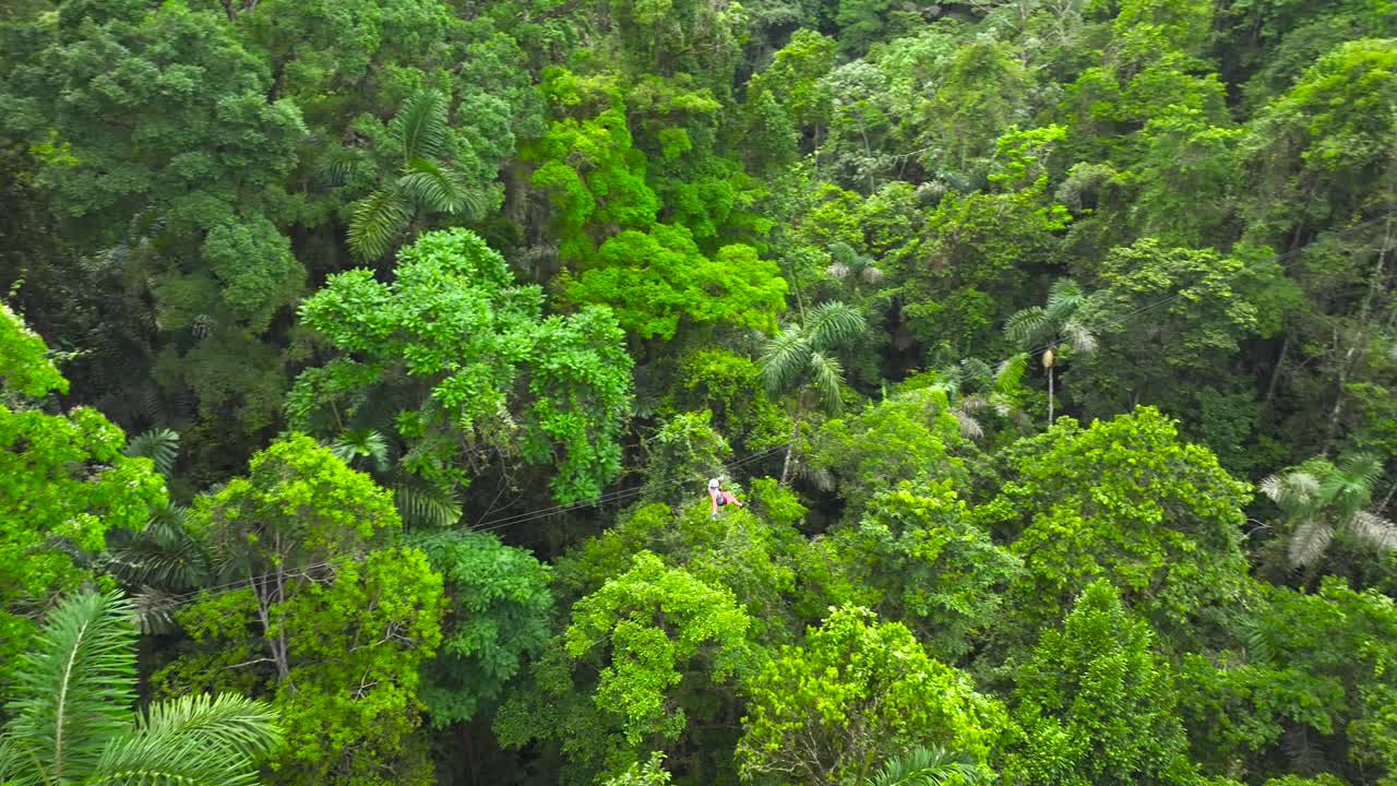 Distant aerial drone view: a person descends from a steep mountain to a valley on a sweeping zipline, surrounded by the vegetation of the jungle