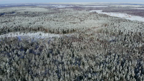 AERIAL:-Flying-above-the-car-driving-through-snowy-forest-at-golden-winter-sunrise.-People-on-winter-road-trip-traveling-across-snow-covered-Lapland-wilderness-at-sunset.-Car-driving-on-empty-icy-road