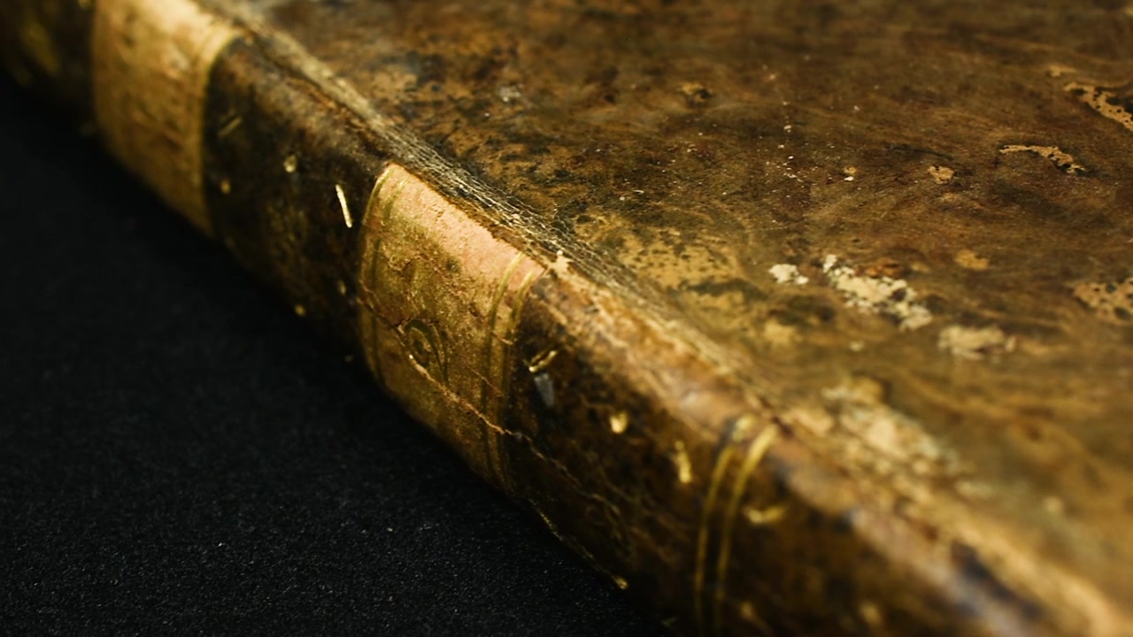 Panoramica sulla trama di un'antica copertina di libro