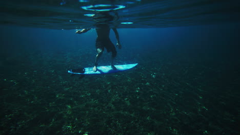 Male-surfer-standing-on-shortboard-above-reef,-view-from-underwater