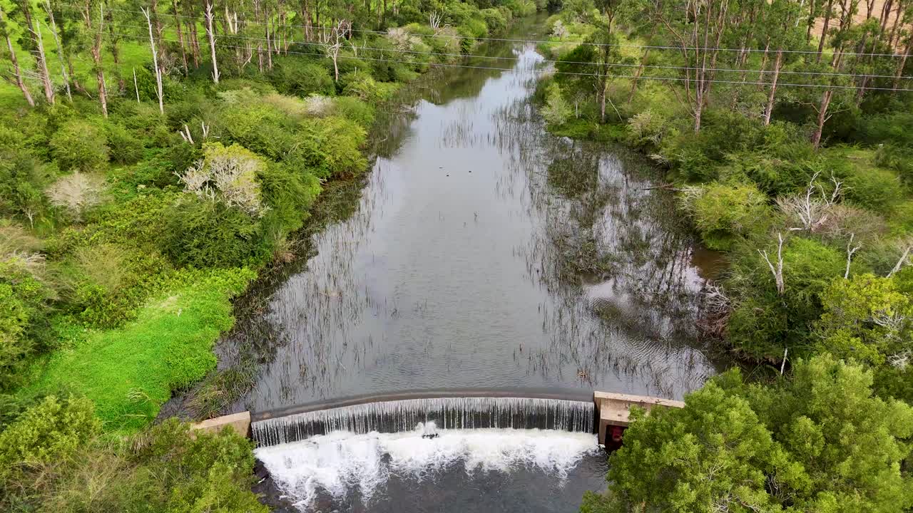 Drone captures tranquil forest stream flowing over weir, lush greenery, soft daylight, steady overhead shot