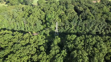 an aerial view over tall green trees on a sunny day on long island, ny