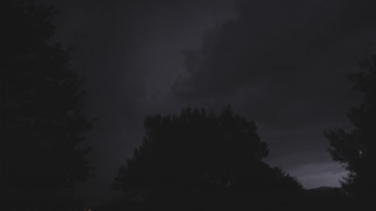 Sagome di alberi contro un cielo notturno tempestoso