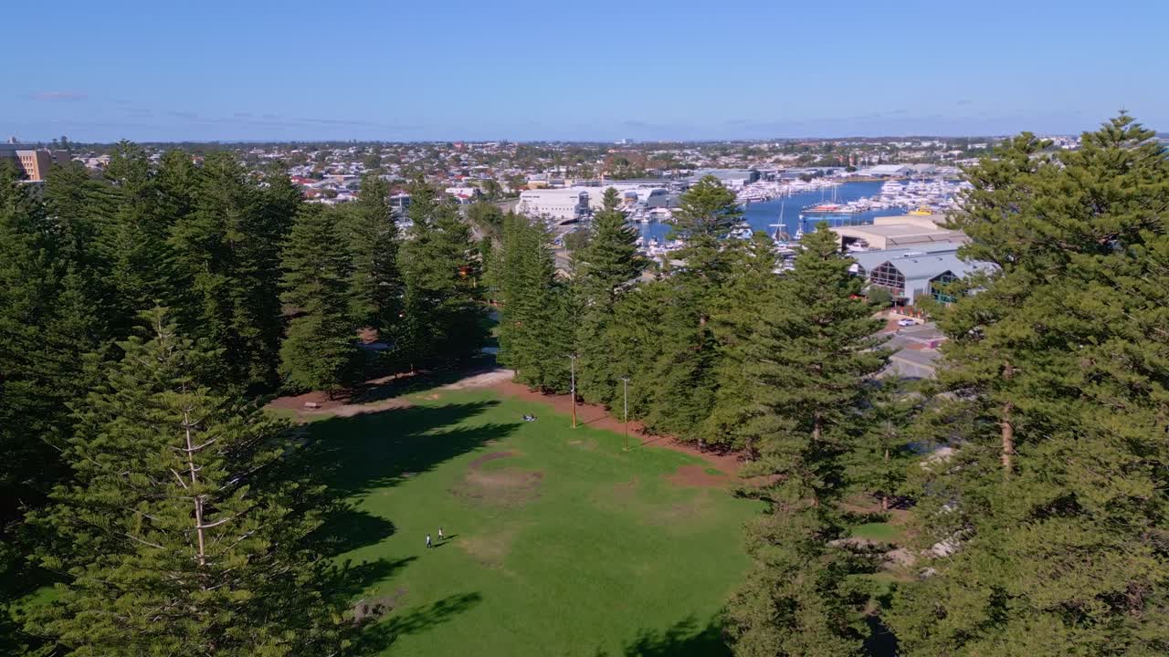 vista de avión no tripulado de los pinos del parque esplanade en fremantle en un día soleado, perth, australia occidental