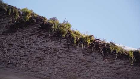 50-FPS-Water-Drops-From-Melting-Snow-Dropping-From-Moss-Roof