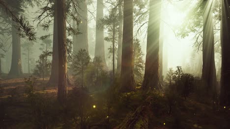 luces de luciérnaga de fantasía en el bosque mágico