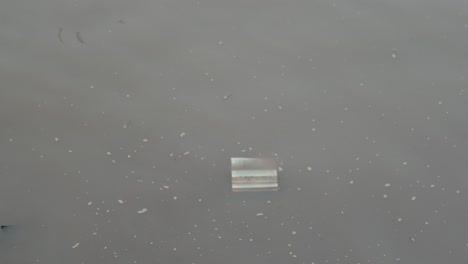 un pedazo solitario de basura flotando en aguas grises tranquilas