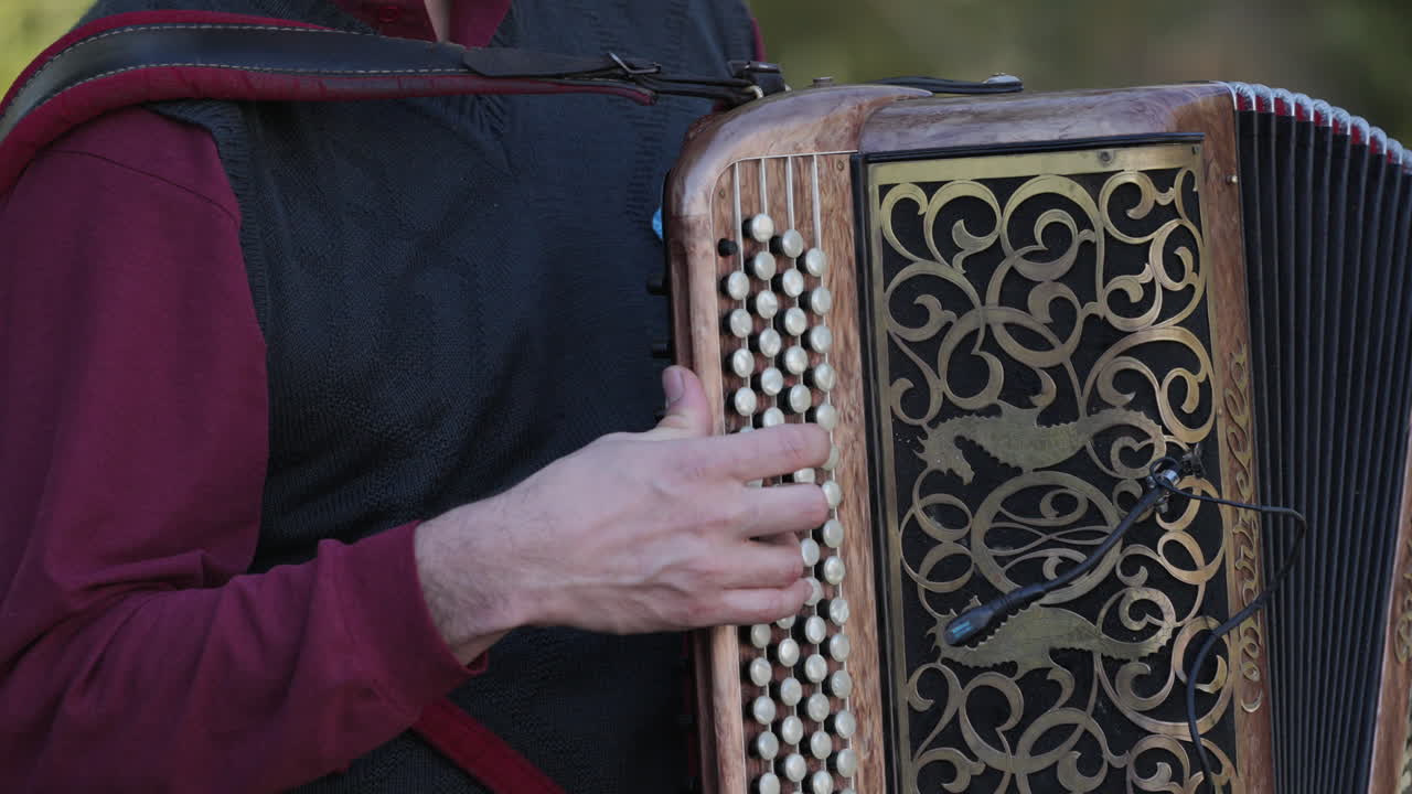 Detailed close-up of a traditional accordion player passionately performing live music