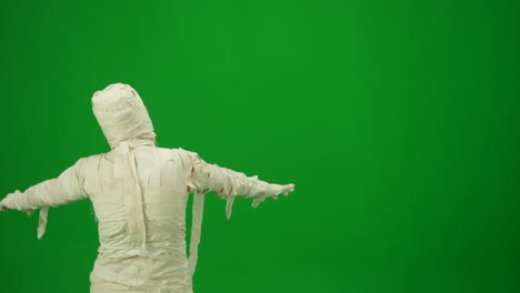 home isolated back view of brunette holding chroma key green screen smartphone watching content home isolated back view of brunette holding chroma key green screen smartphone watching content without touching or swiping coronavirus covid19 quarantine remote education or working concept