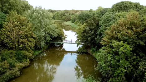 drone view of people walking across a bridge in the park