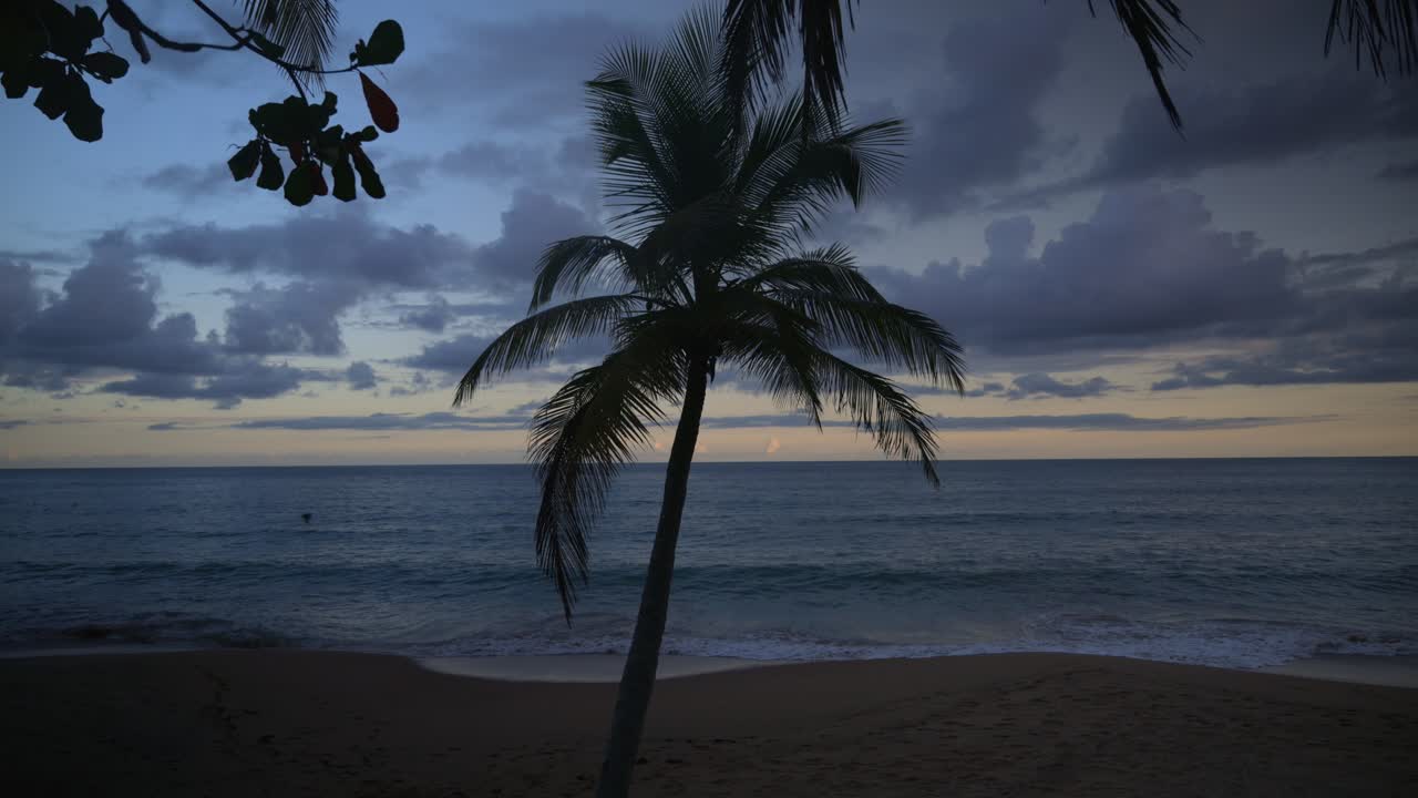 Silhouette of a palm tree with a sunset and ocean in the background.