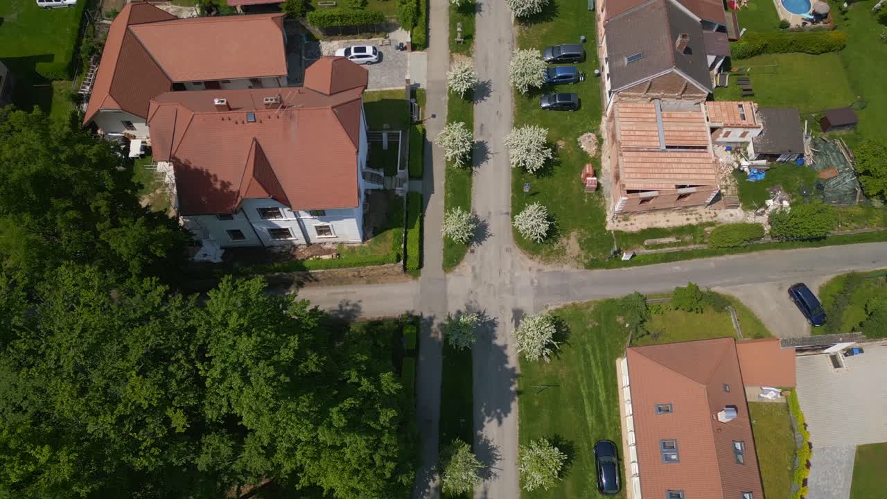 avenida con árboles blancos en flor