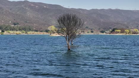 árbol-Muerto-En-El-Agua-Del-Embalse-De-Bouquet-En-Un-Día-Nublado-Y-Brumoso-En-El-Sur-De-California-Teleobjetivo-Con-Un-Fondo-De-Montaña-Plataforma-Aérea-60fps