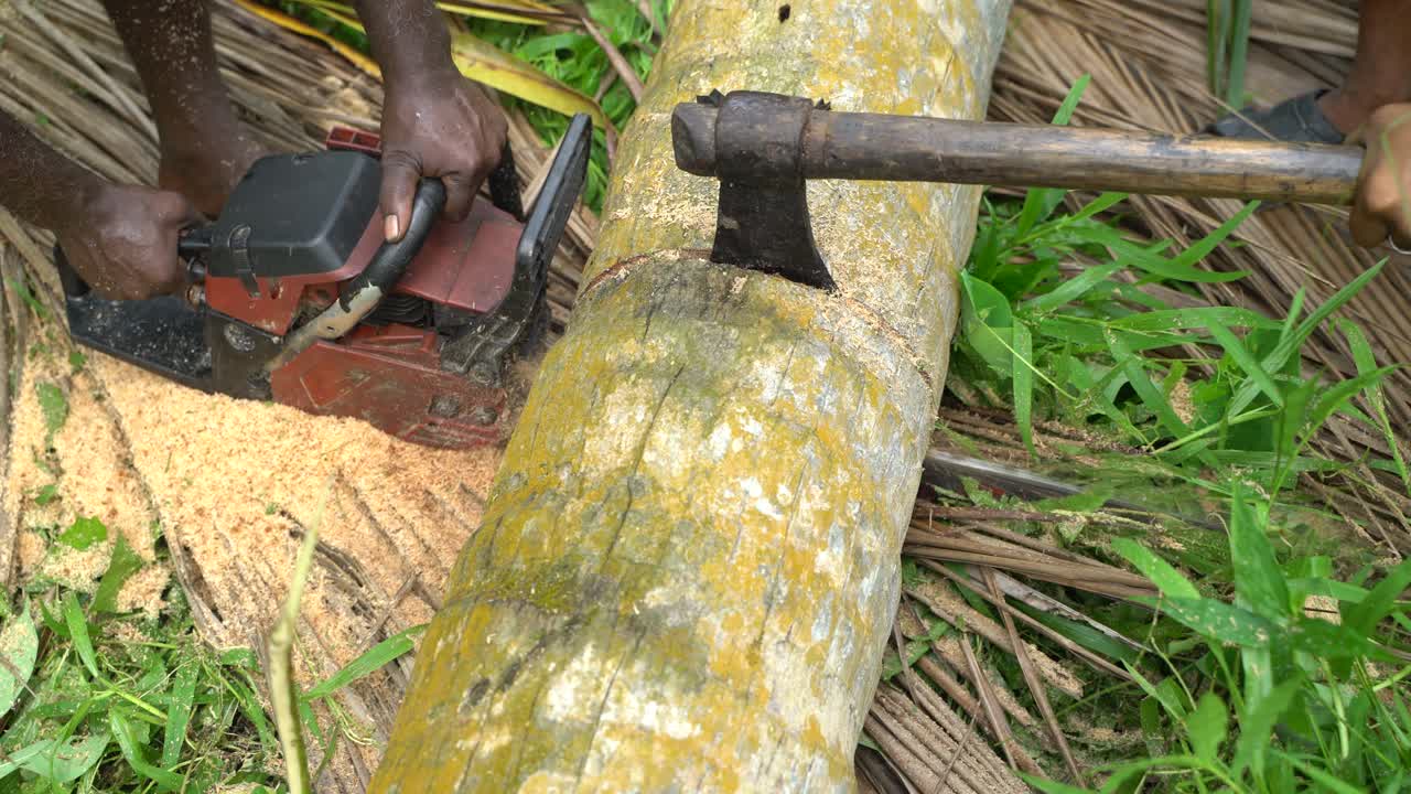 나무 들 은 기계 와 도끼 로  ⁇ 아지고 있다