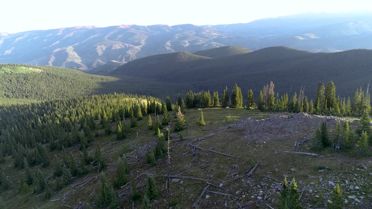 дикая местность сковорода вблизи аспен колорадо в этой красивой сцене с сосновыми лесами и горами
