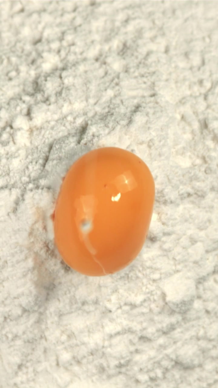 Egg Yolk Falling into White Flour in Slow Motion