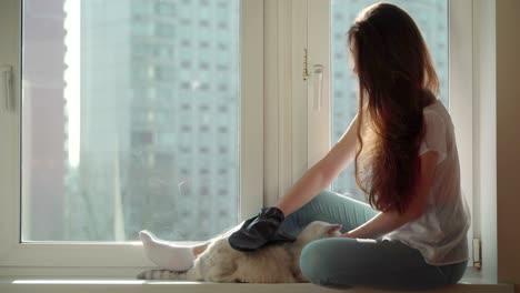 알레르기의 원천으로서의 고양이 머리카락의 개념: 알레르기 치료제: 고양이의 머리카락은 알레르겐의 플입니다.