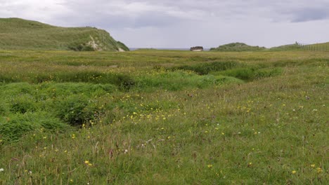 Aufnahme-Des-Machair-Graslandes-Rund-Um-Den-Eoropie-Strand-In-Ness